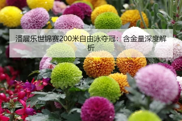 潘展乐世锦赛200米自由泳夺冠：含金量深度解析