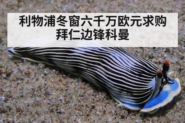 利物浦冬窗六千万欧元求购拜仁边锋科曼